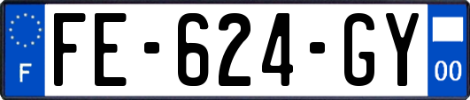 FE-624-GY
