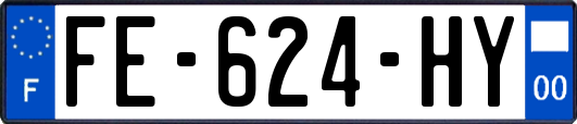 FE-624-HY