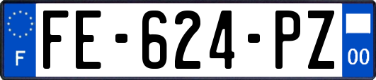 FE-624-PZ