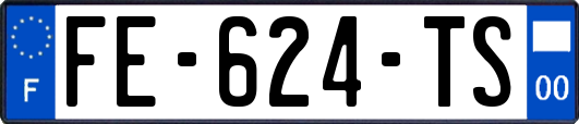 FE-624-TS