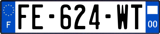 FE-624-WT