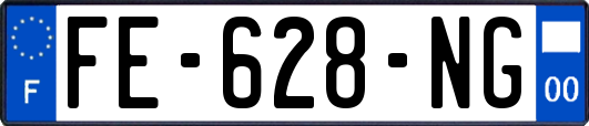 FE-628-NG