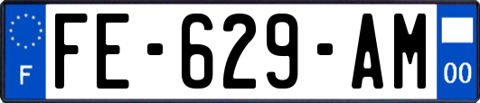 FE-629-AM