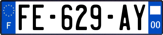 FE-629-AY