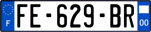 FE-629-BR