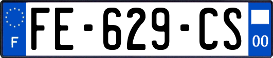 FE-629-CS