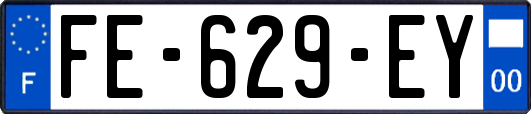 FE-629-EY