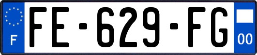 FE-629-FG
