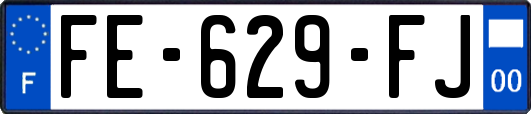 FE-629-FJ