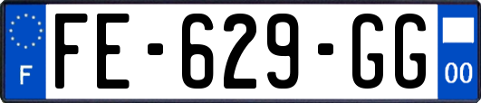 FE-629-GG