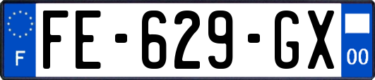 FE-629-GX