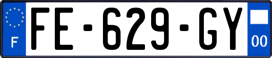 FE-629-GY