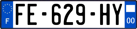 FE-629-HY