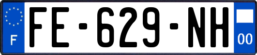 FE-629-NH