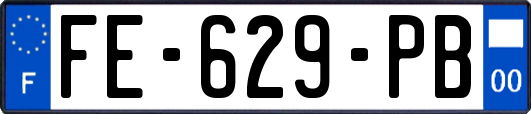 FE-629-PB