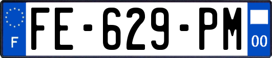 FE-629-PM