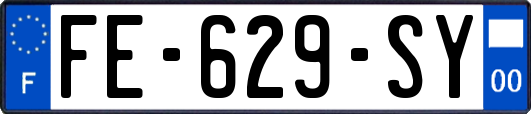 FE-629-SY