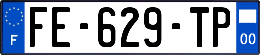 FE-629-TP