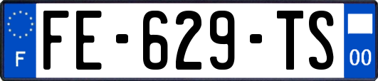 FE-629-TS