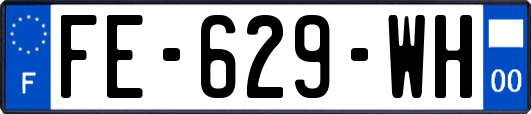 FE-629-WH