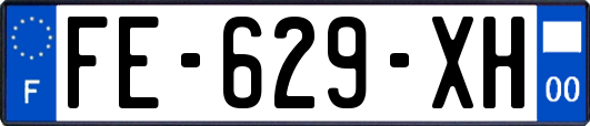 FE-629-XH