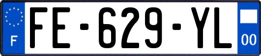 FE-629-YL