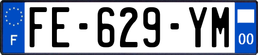 FE-629-YM