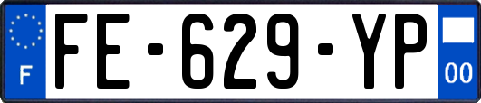 FE-629-YP