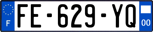 FE-629-YQ