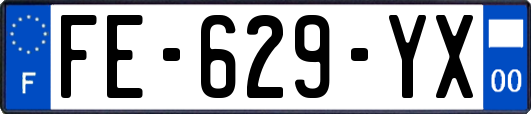 FE-629-YX