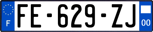 FE-629-ZJ