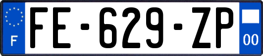 FE-629-ZP