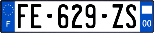 FE-629-ZS