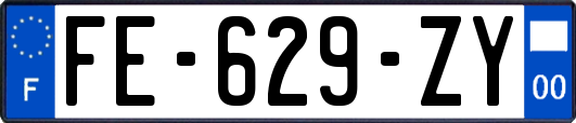 FE-629-ZY