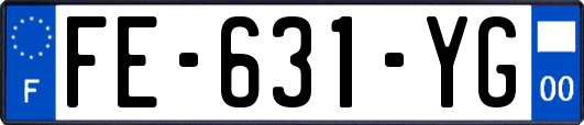 FE-631-YG