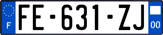 FE-631-ZJ