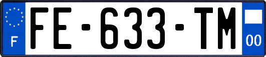 FE-633-TM