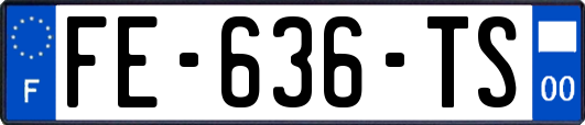 FE-636-TS