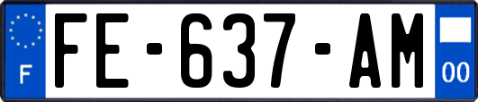 FE-637-AM