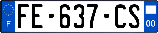FE-637-CS