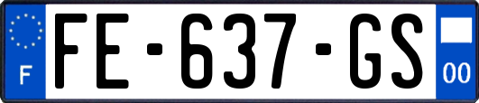 FE-637-GS