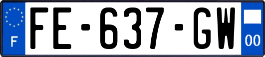 FE-637-GW
