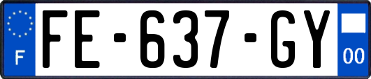 FE-637-GY