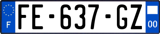 FE-637-GZ