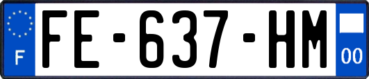 FE-637-HM