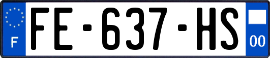 FE-637-HS