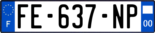 FE-637-NP