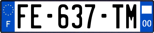 FE-637-TM
