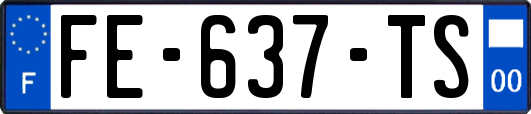 FE-637-TS