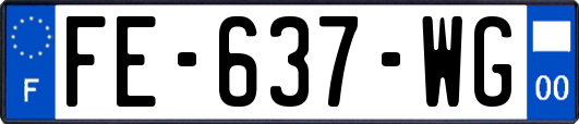 FE-637-WG